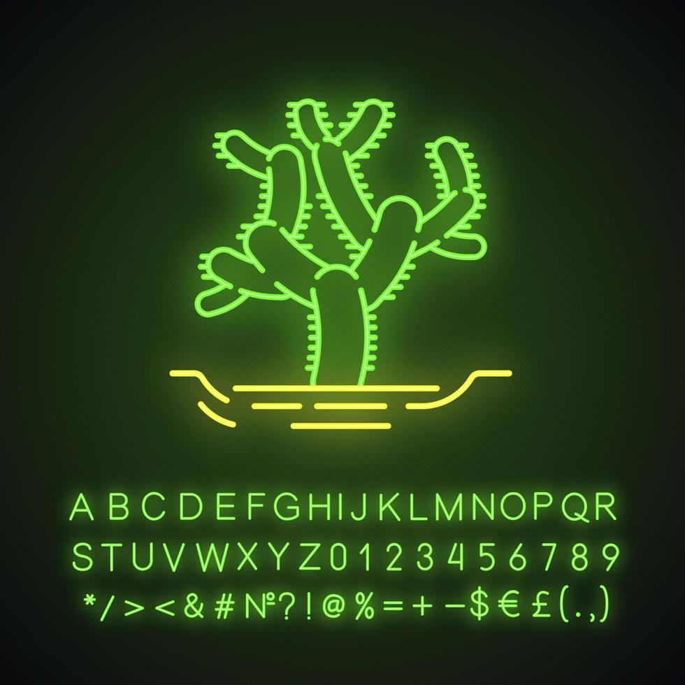 Teddybär-Cholla-Kaktus im Boden-Neonlicht-Symbol. Zylindropuntie. Kakteen mit zylindrischen Gelenken. Amerikanische tropische Pflanze. leuchtendes zeichen mit alphabet, zahlen, symbolen. vektor isolierte illustration