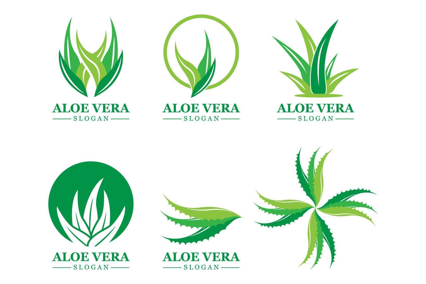 grön växt aloe vera logotyp vektor ikon symbol många fördelar