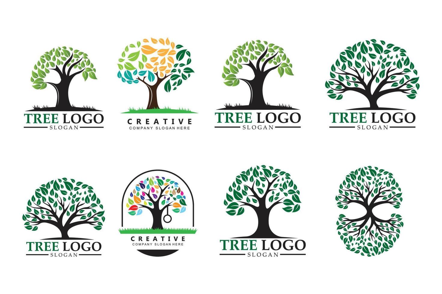träd logotyp design, barns lärande växt illustration vektor
