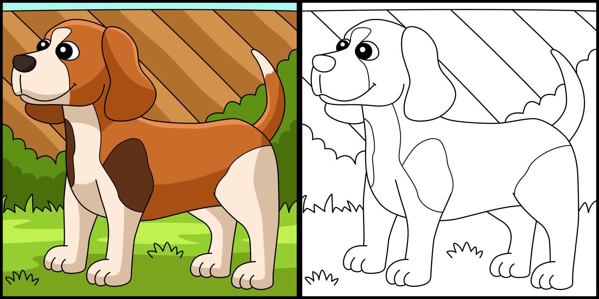 beagle hund malseite farbige illustration vektor