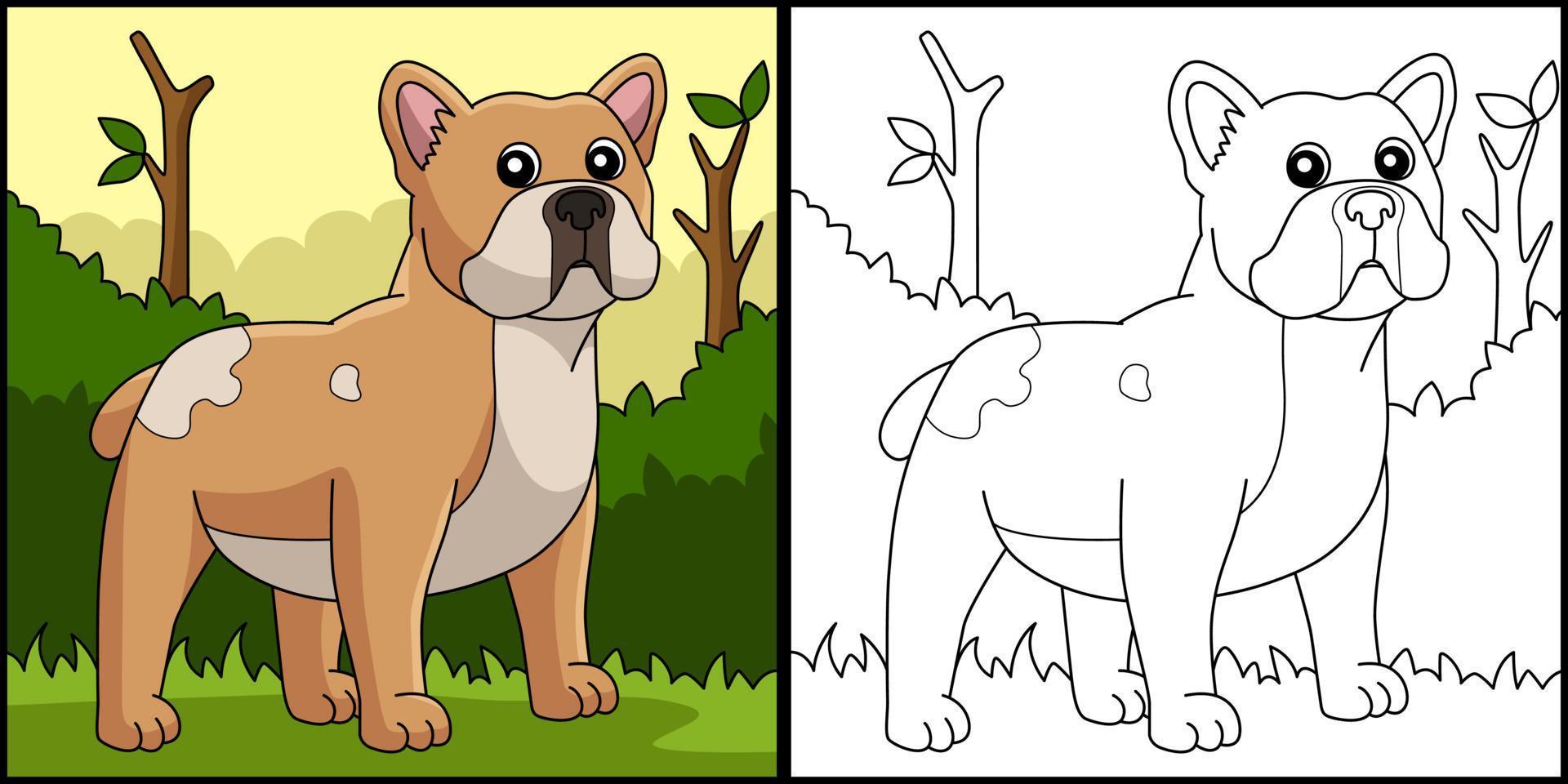 fransk bulldog hund målarbok illustration vektor