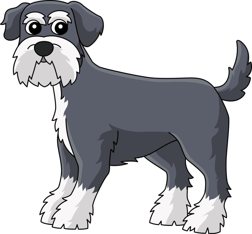 schnauzer hund tecknad färgad clipart illustration vektor