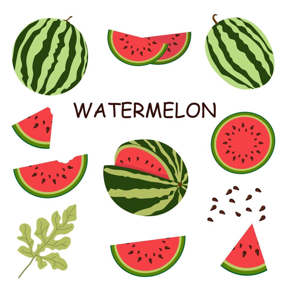 satz von vektorillustrationen der flachen wassermelone. ganze Wassermelone, geschnittene Wassermelone, Wassermelonenscheiben vektor