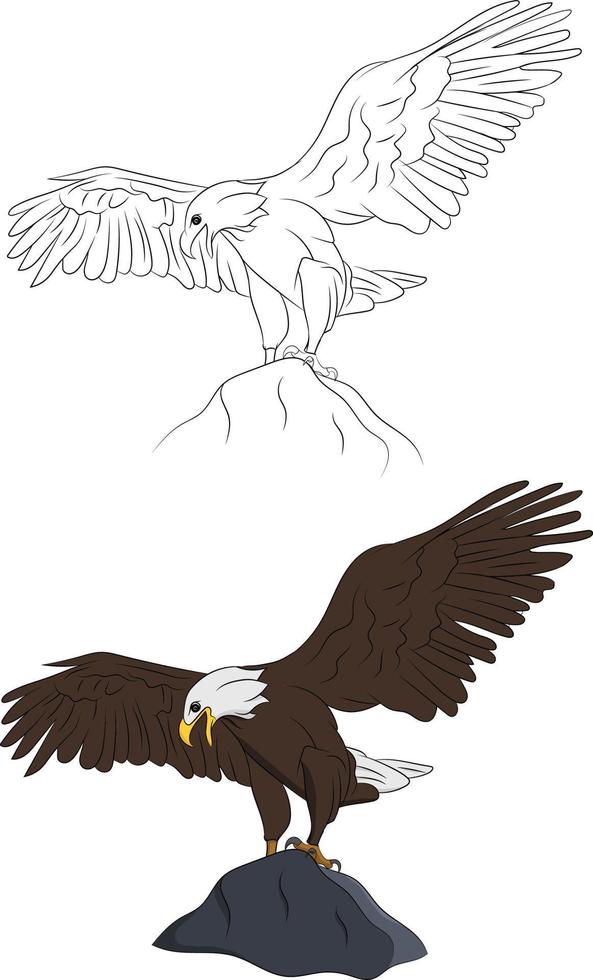 handritad bald eagle fågel set isolerade illustration vektor