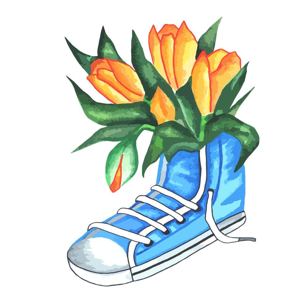 Strauß gelber Tulpen mit Laub in blauen Turnschuhen mit Schnürsenkeln, in Aquarell gemalt. vektor