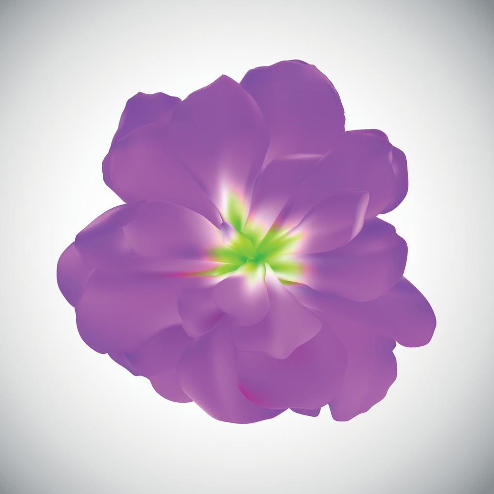realistisk blomma hög kvalitet vektorillustration vektor