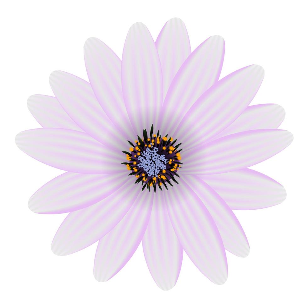 lila blomma isolerad på vit vektorillustration vektor