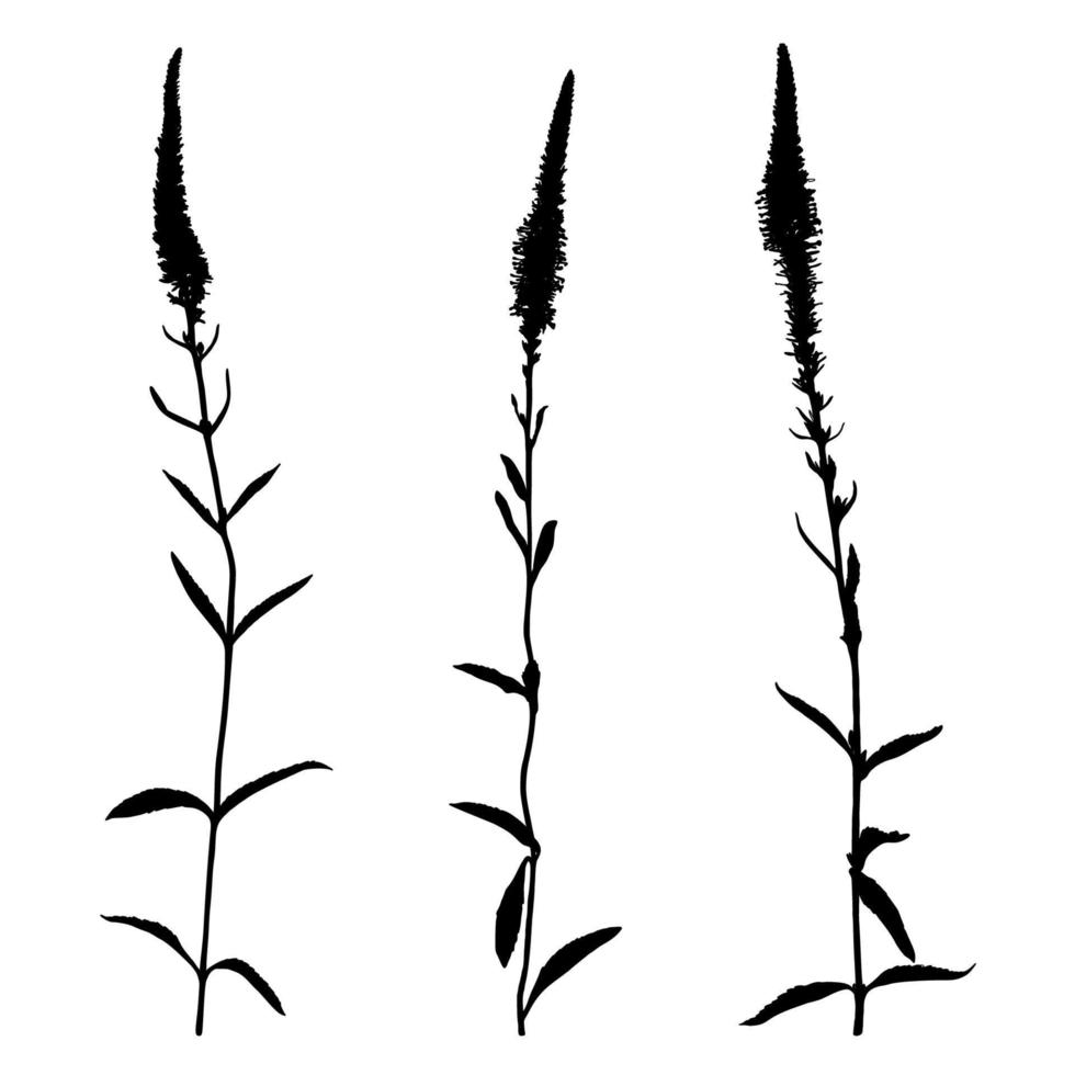 Reihe von Wildblumen-Silhouetten isoliert auf weißem Hintergrund. Wiesenblumen-Sammlung. Vektor-Illustration. vektor