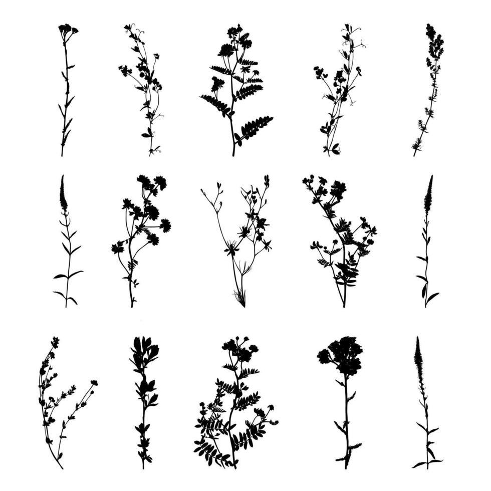 uppsättning vilda blommor silhuetter isolerad på vit bakgrund. äng blommor samling. vektor illustration.