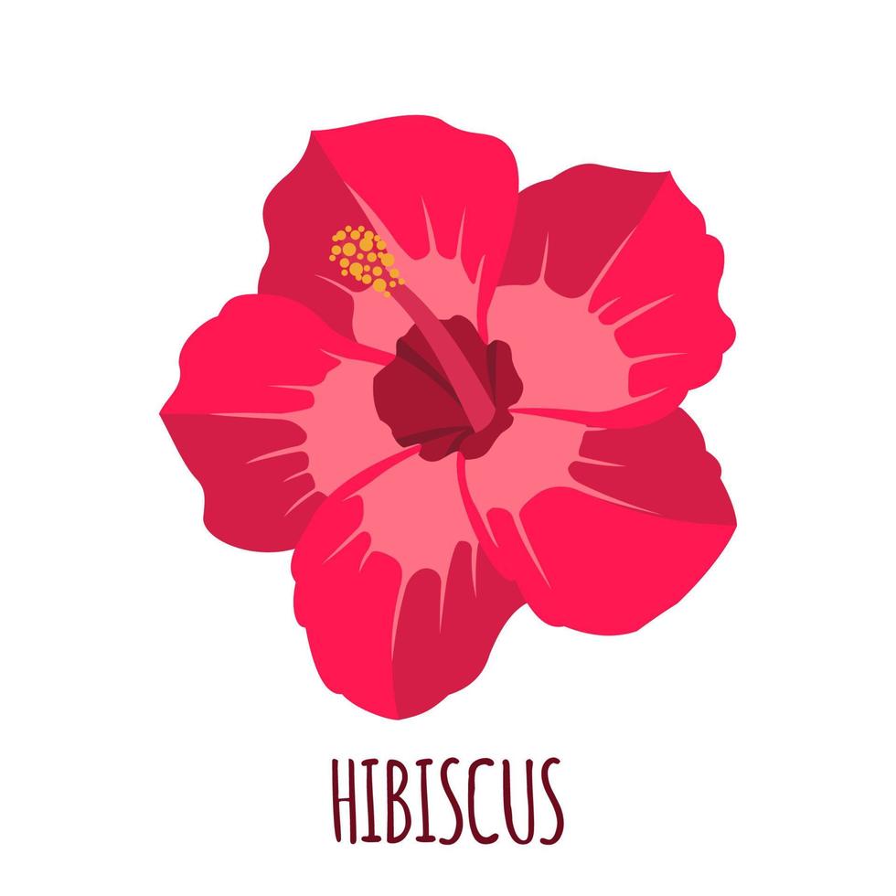 hibiskus blomma ikon i platt stil isolerad på vit bakgrund. ayurvedisk medicinalväxt. tropisk exotisk blomma. vektor illustration.
