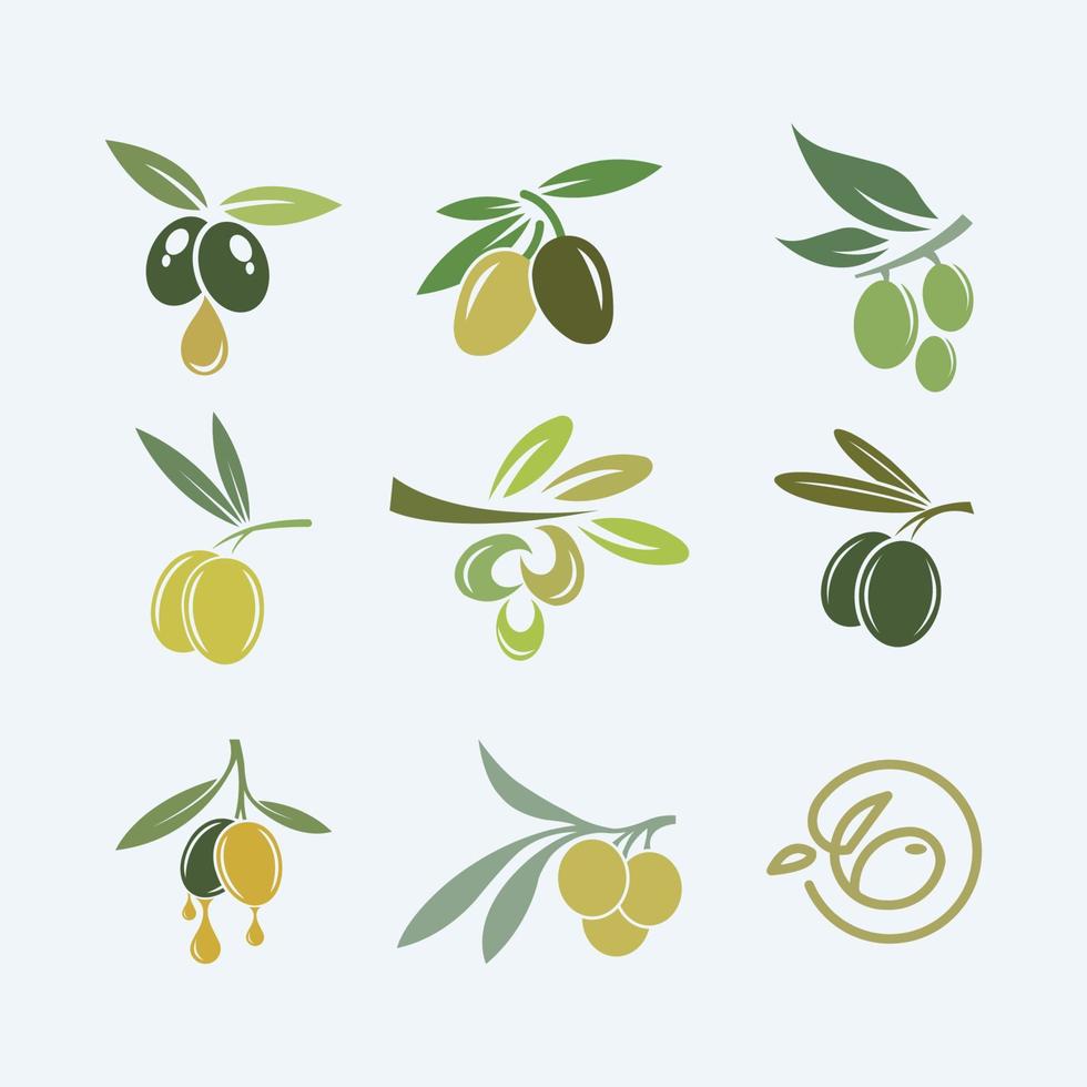 olive logos sammlung symboldesigns für unternehmen vektor