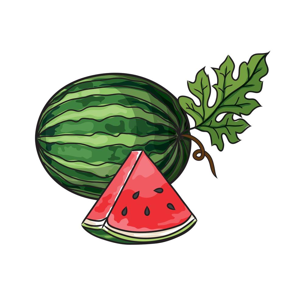 vattenmelon hand dras av illustration vektor