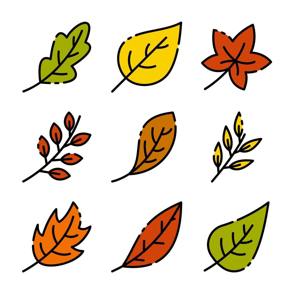 abgefallene Blätter in der Herbstsaison vektor