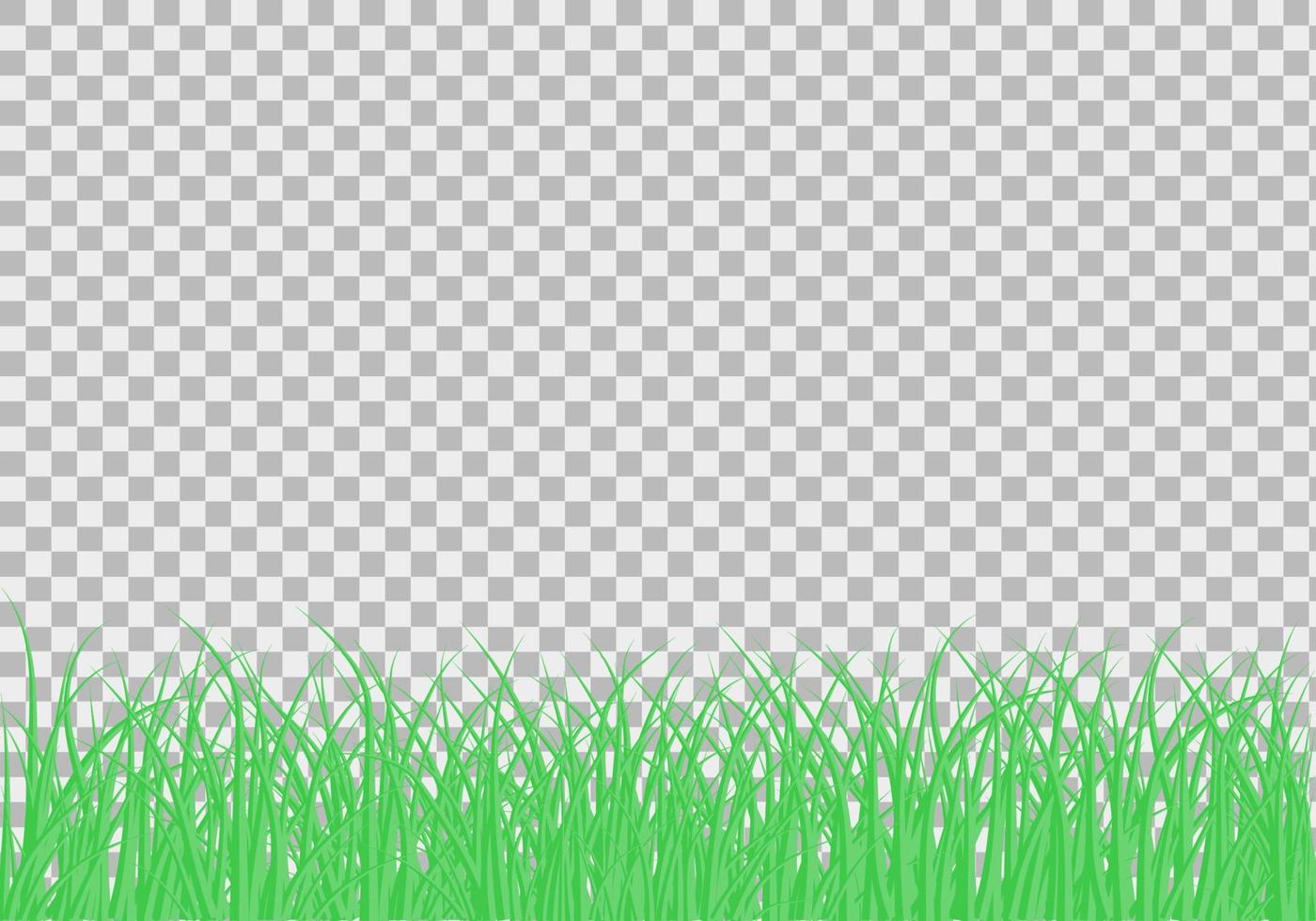 grüne schöne Graswiese Grenze Vektormuster. frühlings- oder sommerpflanzenfeldrasen. Gras Hintergrund. Vektor-Illustration. vektor