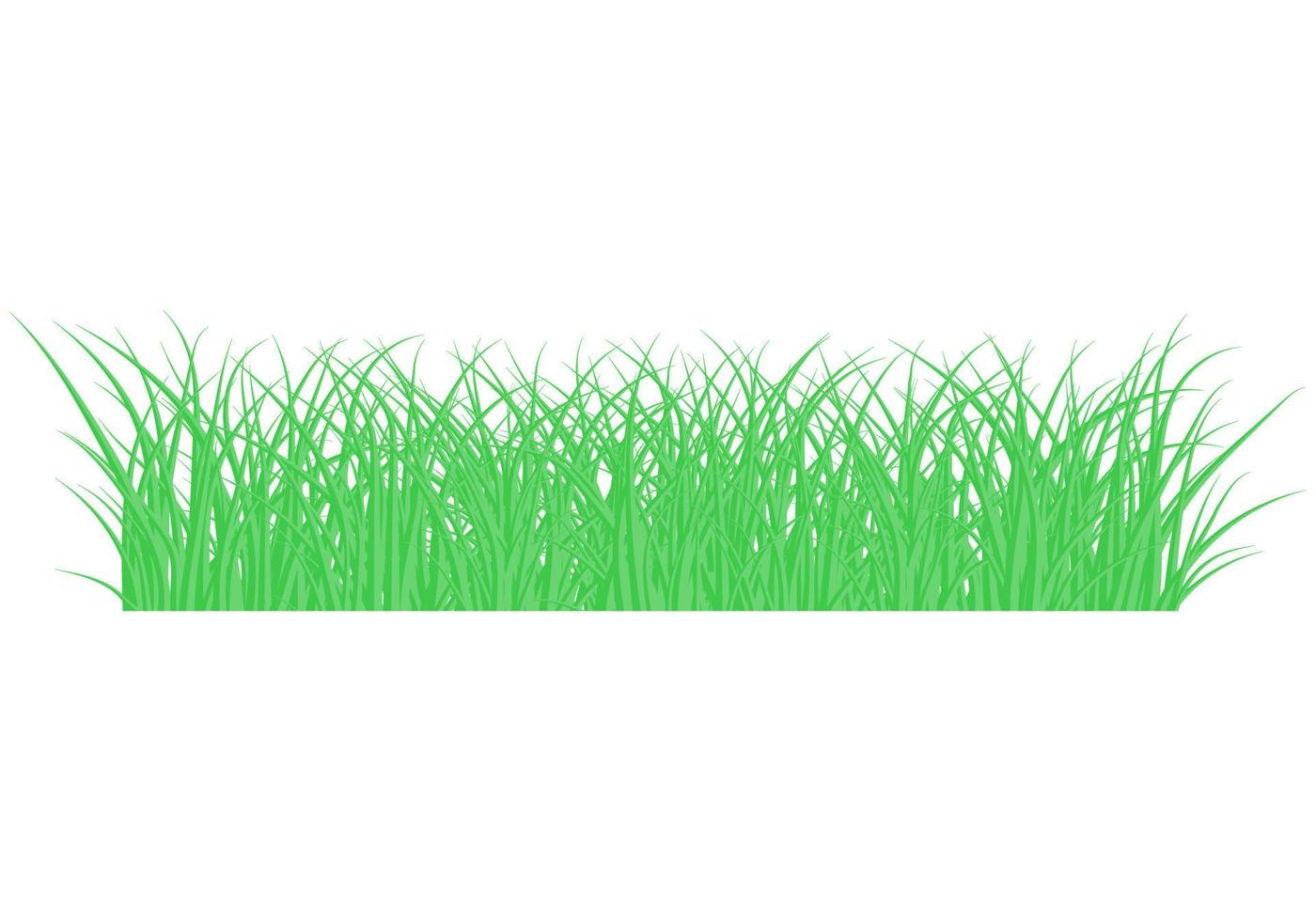 grönt vackert gräs äng gränsen vektor mönster. vår eller sommar växtfält gräsmatta. gräs bakgrund. vektor illustration.