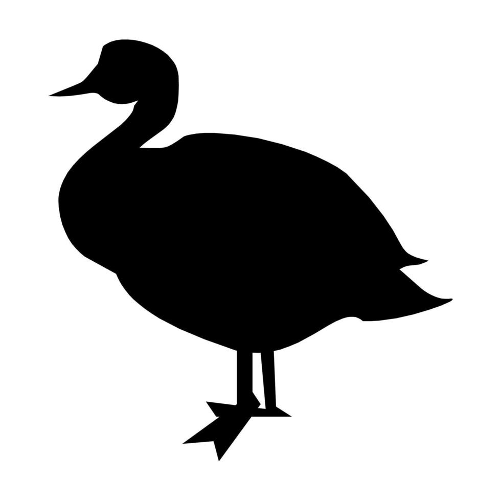 Gans, Geflügelvogel-Symbol auf weißem Hintergrund. Vektor-Illustration. vektor