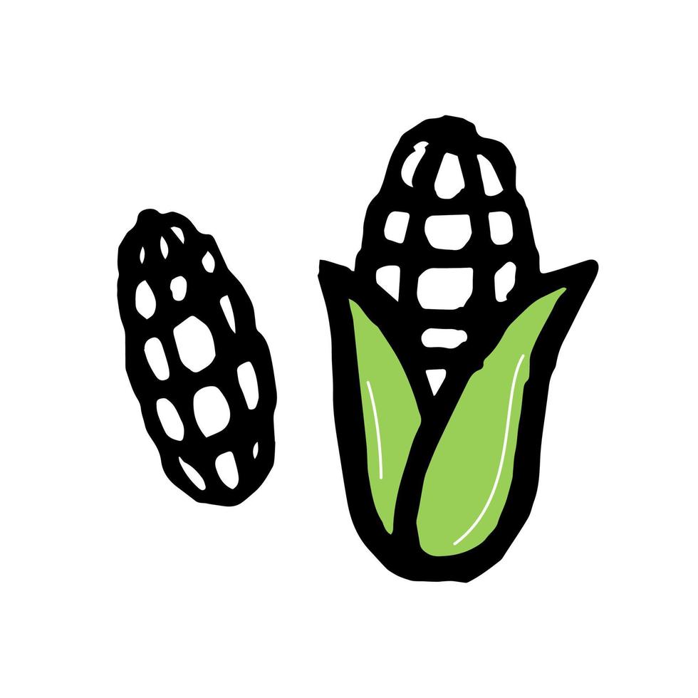 Mais-Logo-Skizze-Doodle. Mais-Icon-Isolatvektor. Bereich Landwirtschaft vektor