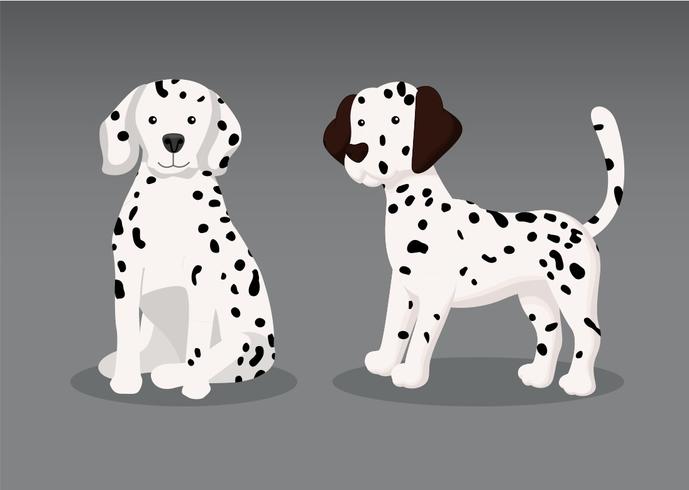 Dalmation Puppy Vector