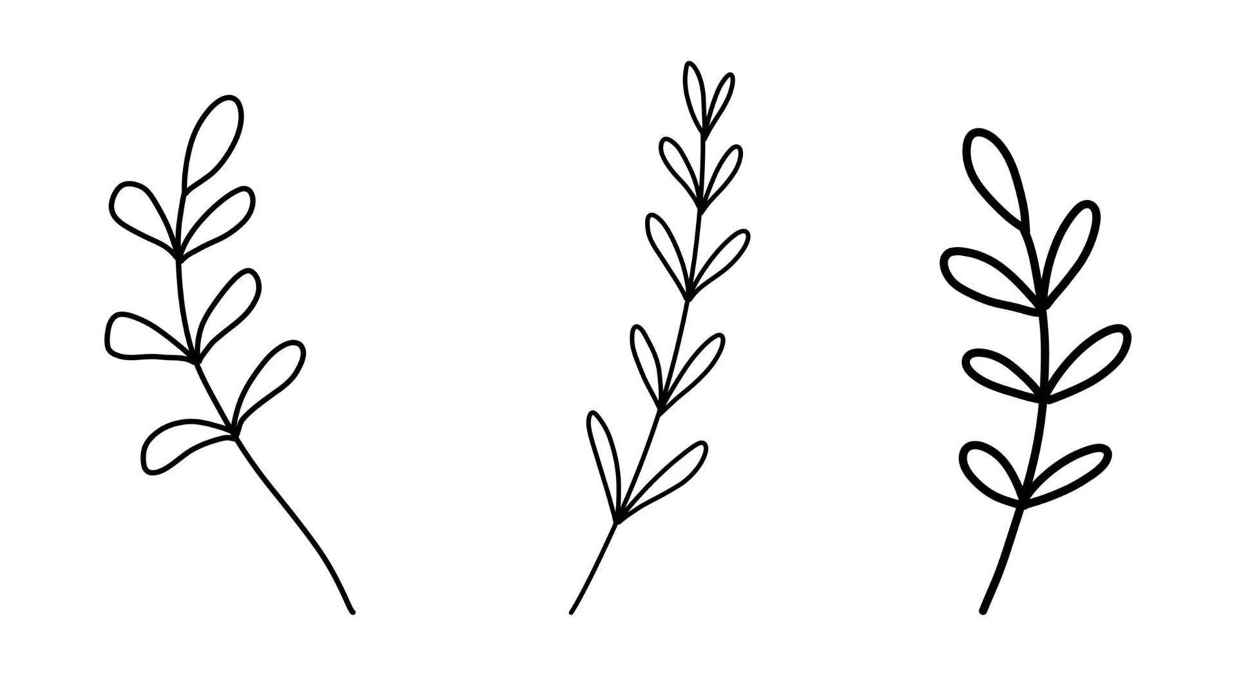 uppsättning av blommig handritad vektor. handritade växter i doodle stil. botanisk illustration. vektor