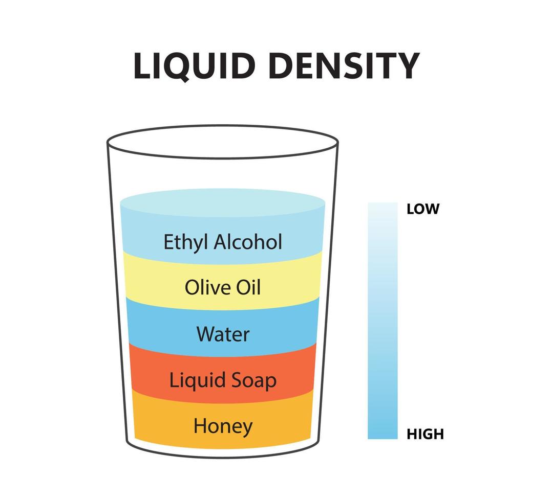 vätskedensitet vetenskapligt experiment koncept. separata vätskeskikt. laboratorieexperiment med densitet av olja, vatten, honung, tvål och alkohol. olika typer av vätska i glas. vektor illustrationt