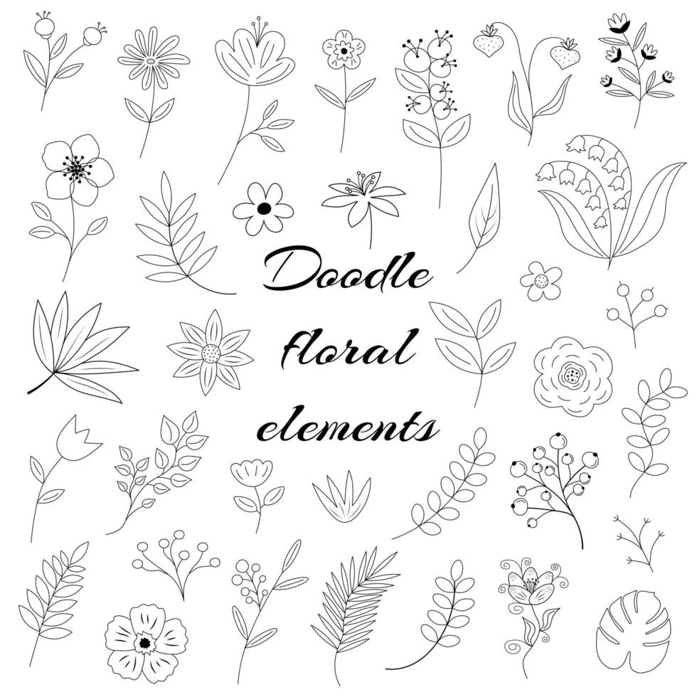 blommiga element doodle set. blomma grafisk design. örter, bär och vilda blommor. vektor