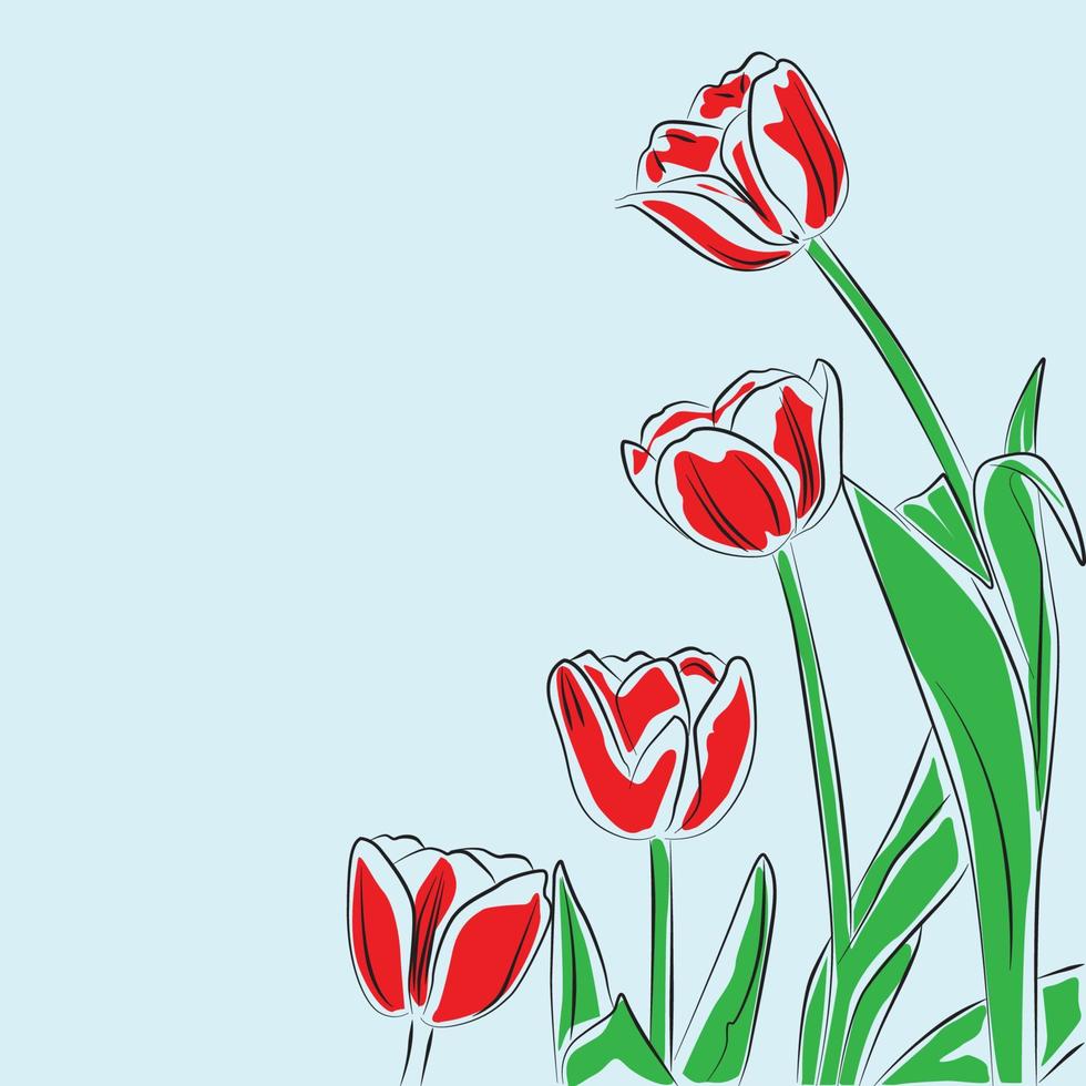 Tulpenblumenskizze auf hellblauem Hintergrund vektor