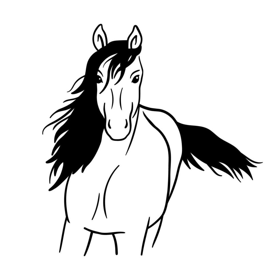 vektor siluett av en springande häst. handritad monokrom illustration husdjur isolerad på vit bakgrund.