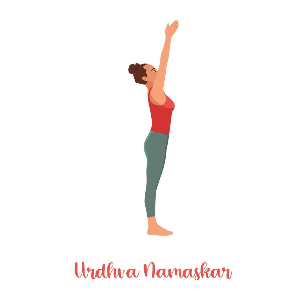 Frau, die Urdhva Hastasana, Yoga-Pose mit aufwärts gerichteter Hand, Asana aus der Surya-Namaskar-Sequenz, Sonnengruß-Komplex durchführt. flache vektorillustration lokalisiert auf weißem hintergrund vektor