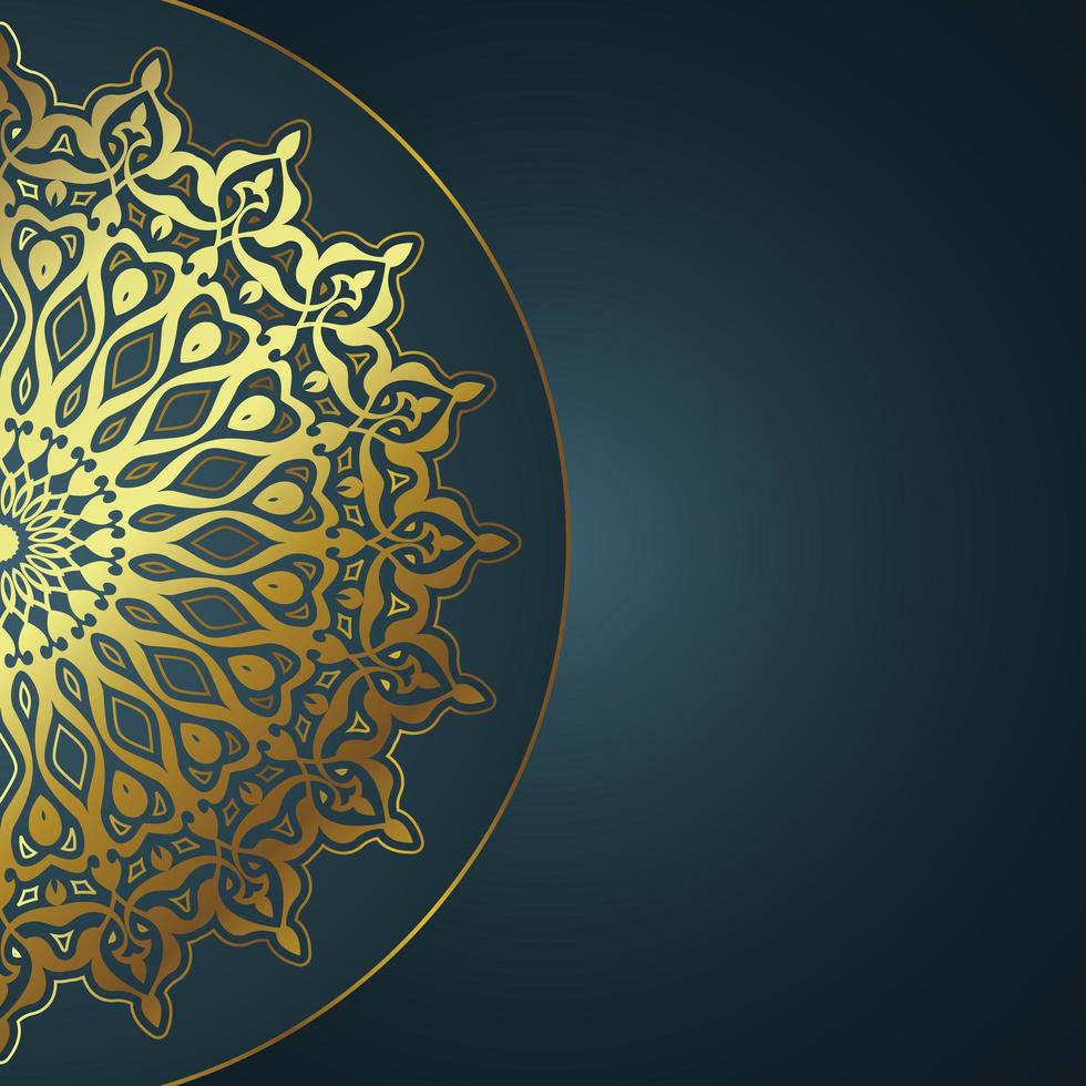 elegant mandala design vektor