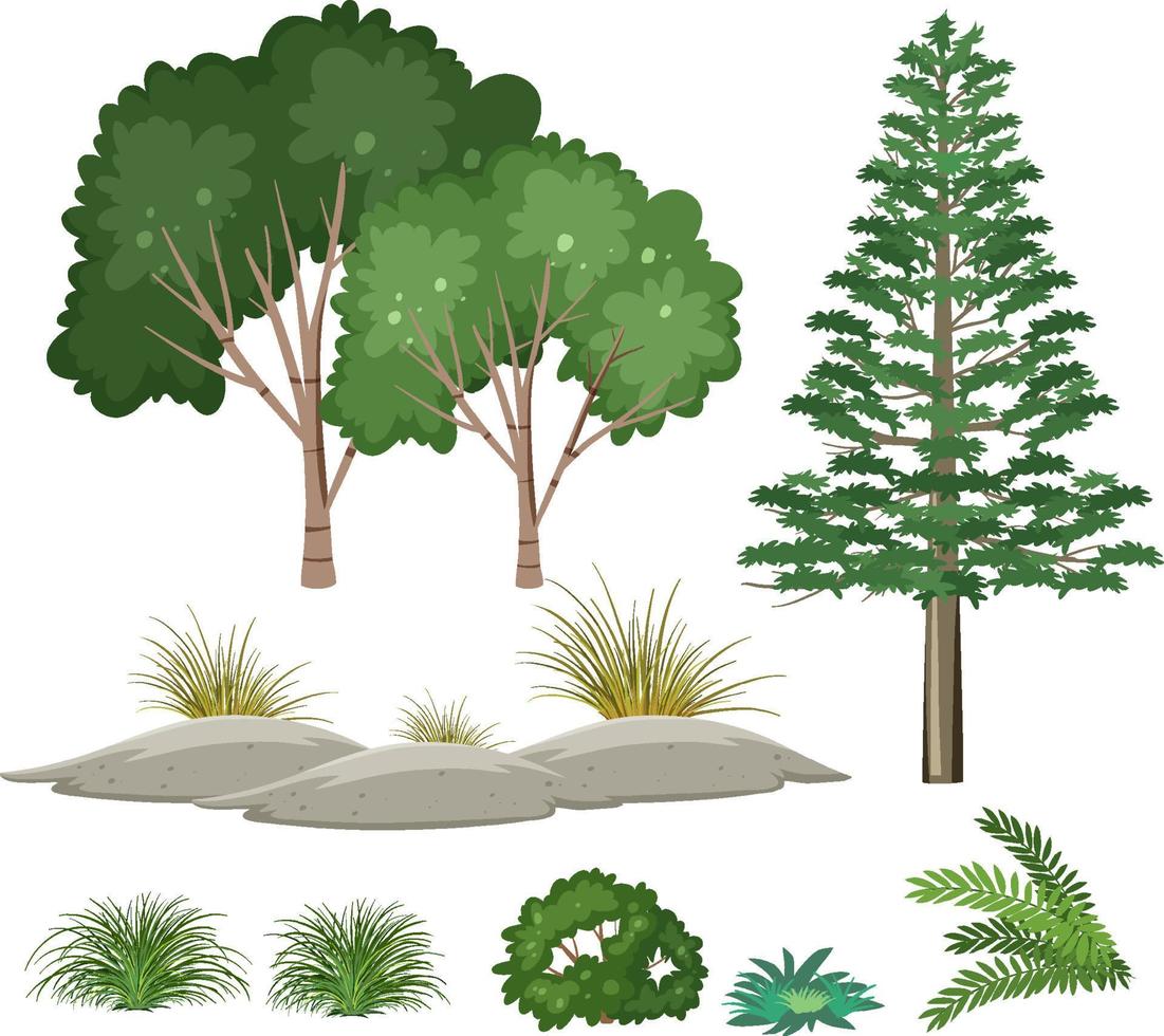 isolierte bäume und naturobjekte gesetzt vektor