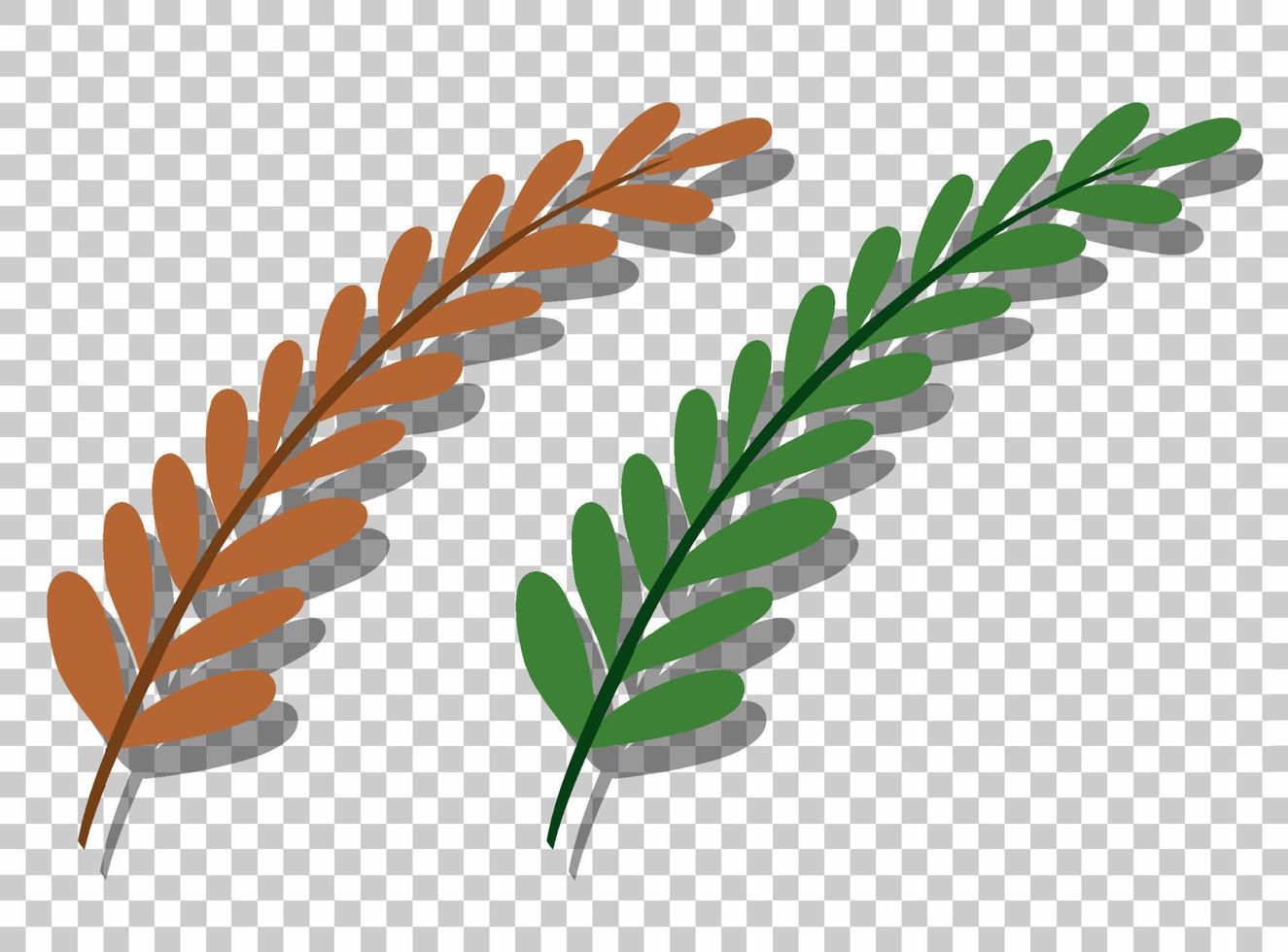 olivenblätter isoliert im flachen stil vektor
