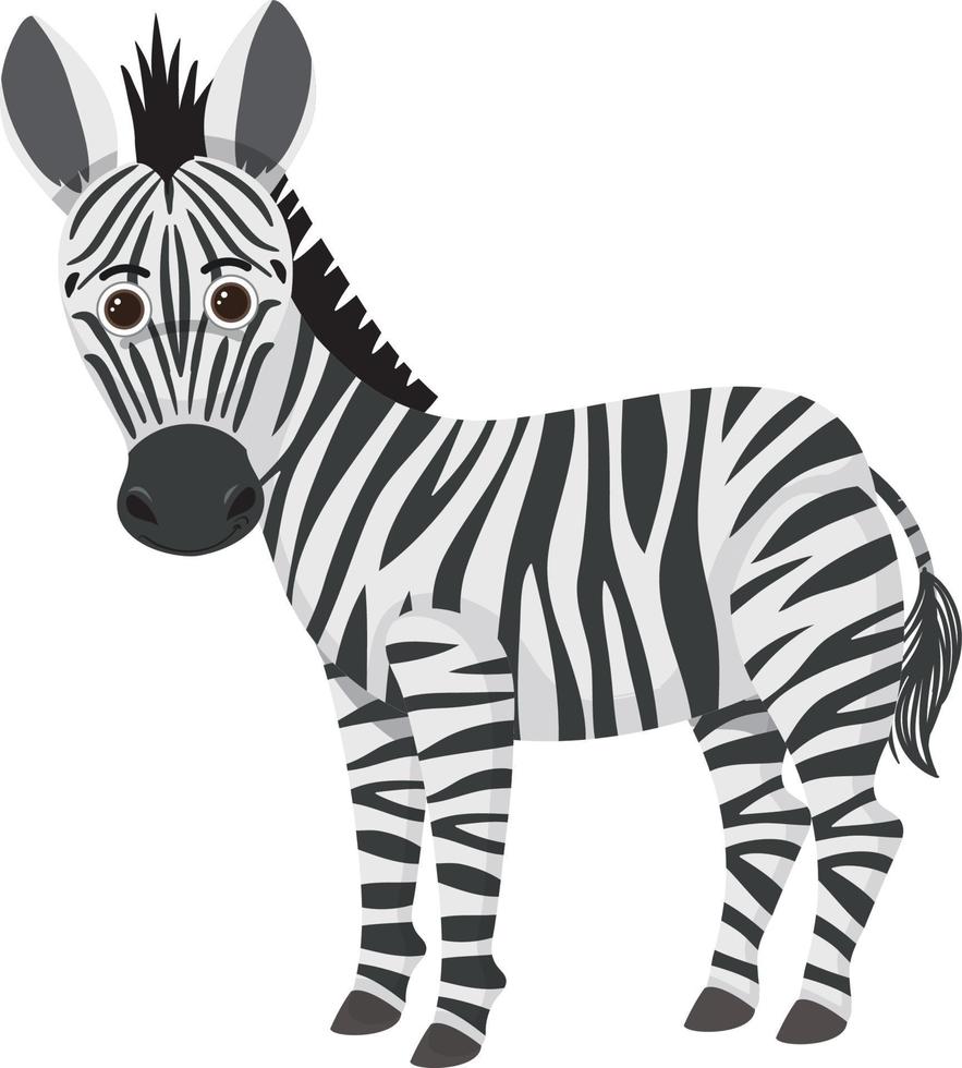 söt zebra i platt tecknad stil vektor