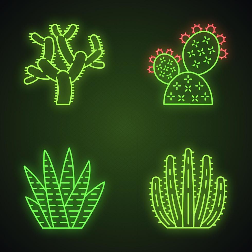 vilda kaktusar neonljus ikoner set. gröna suckulenter. exotisk mexikansk flora. chola, prickly pear, zebrakaktus, orgelpipskaktus. glödande tecken. vektor isolerade illustrationer