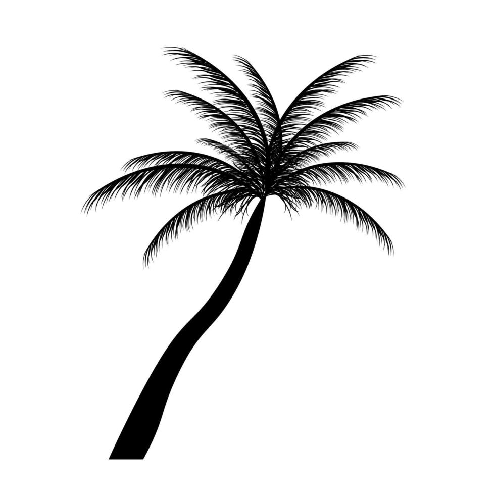 siluett av palmer. vektor illustration.