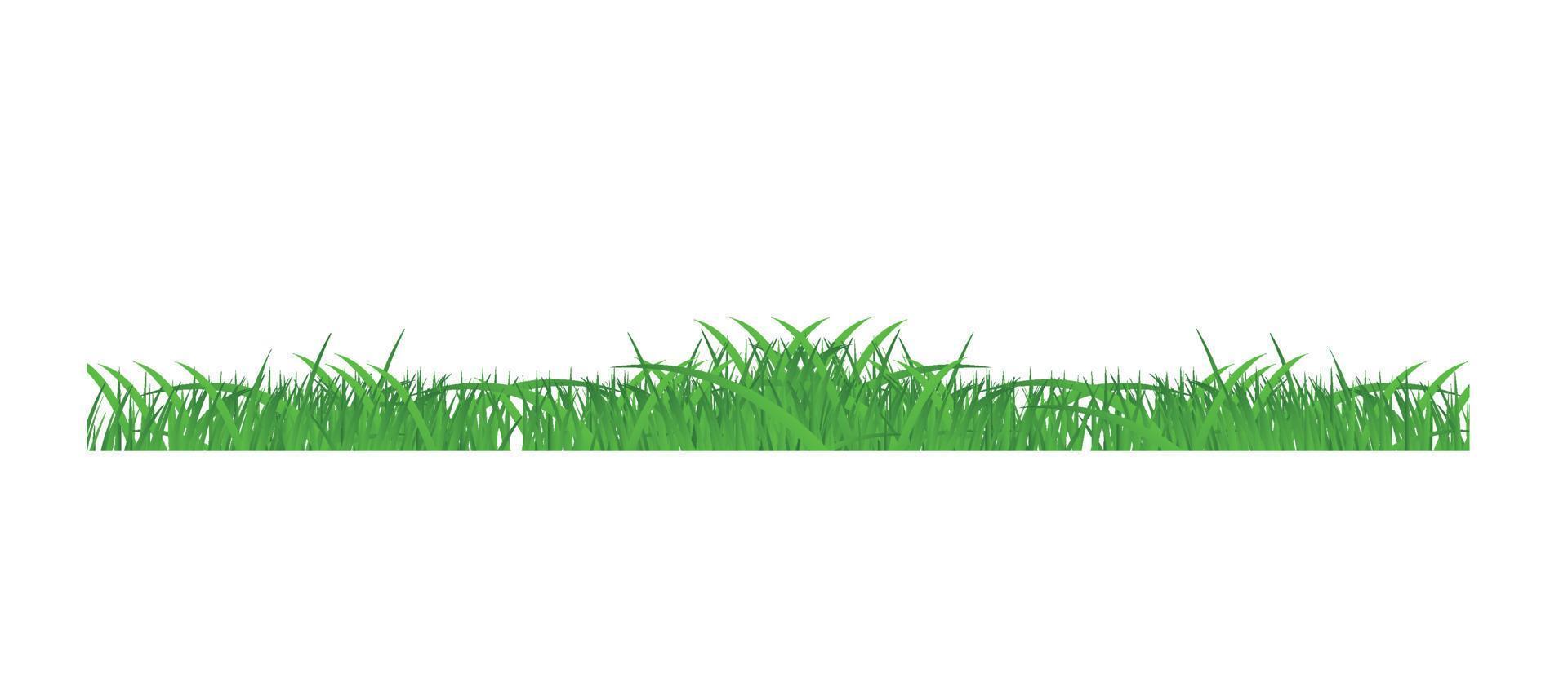 blomma och gräs gränser set. vektor illustration