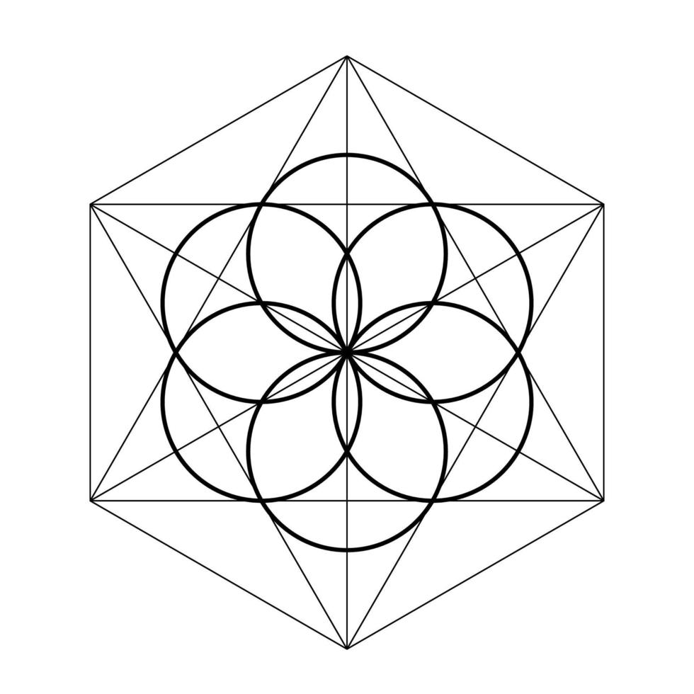 Samen des Lebens. Heilige Geometrie-Vektor-Illustration vektor