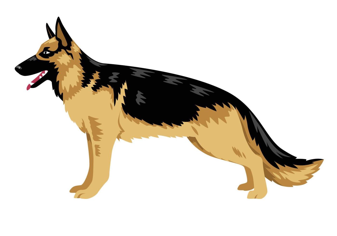 teckning av en schäferhund. vektor