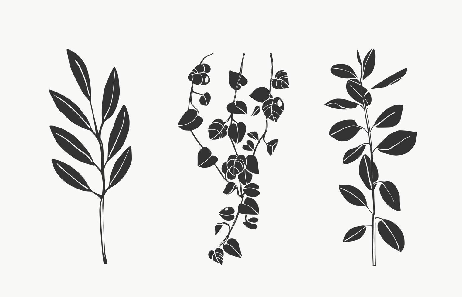 tropiska löv och botaniska löv konst. vackra handritade exotiska växter på vit bakgrund. abstrakt modern eller minimal växtlinje för affischer. vektor design