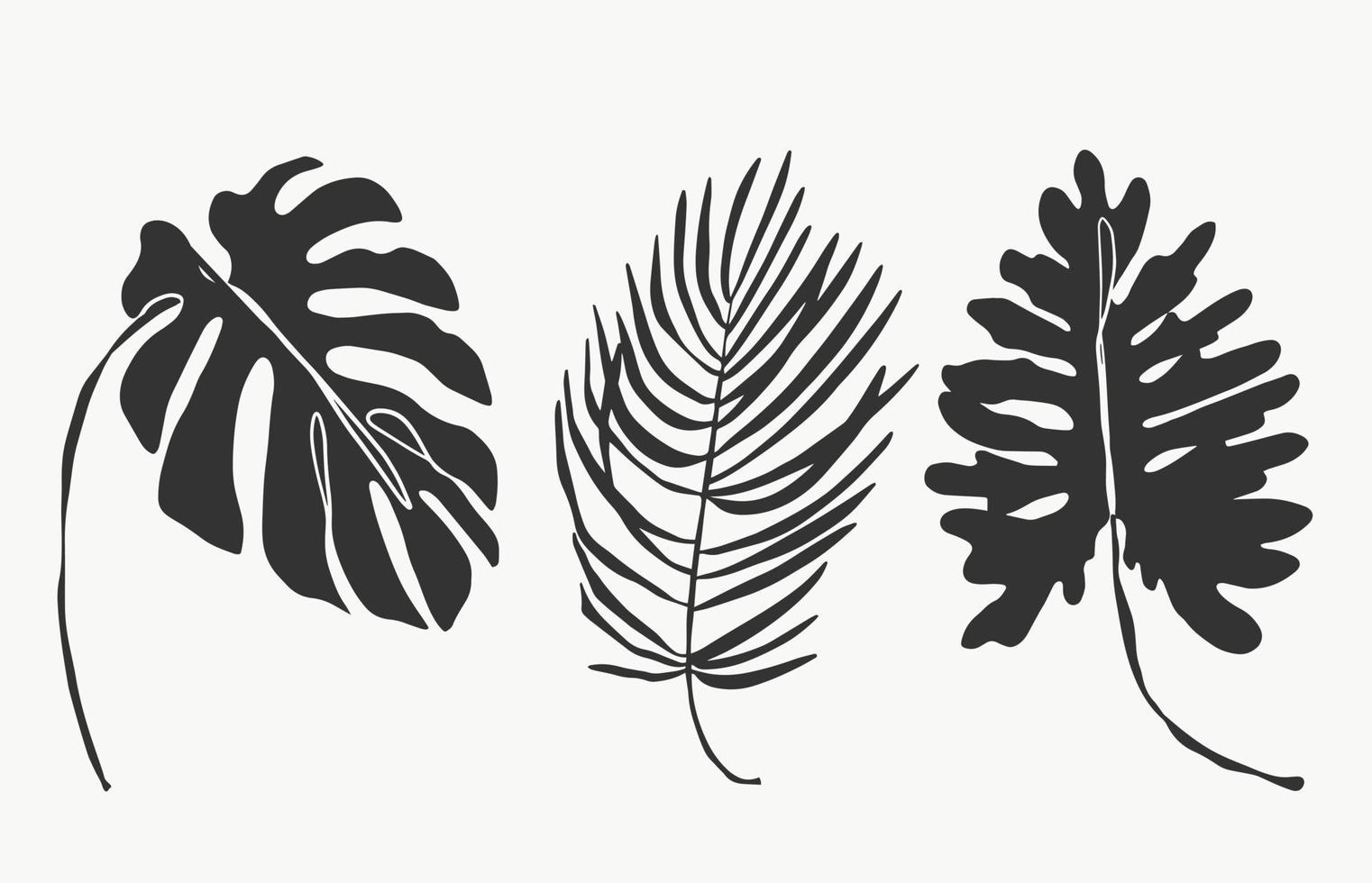 tropisk palm monstera blad och botaniska blad konst. vackra handritade exotiska växter på vit bakgrund. abstrakt modern eller minimal växtlinje för affischer. vektor design