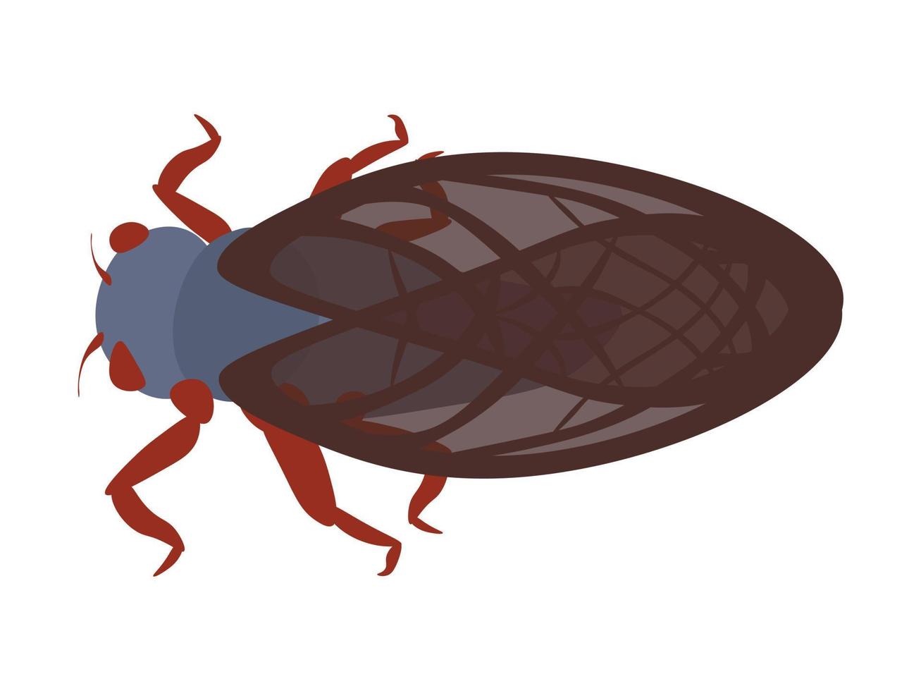 Zikade, ein lautes Insekt mit großen Flügeln vektor