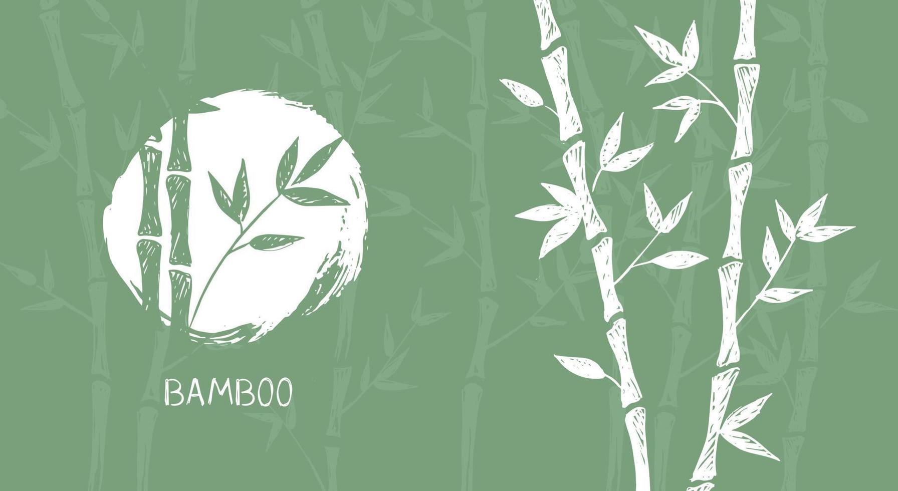 bambu träd. handritad stil. vektor illustrationer.