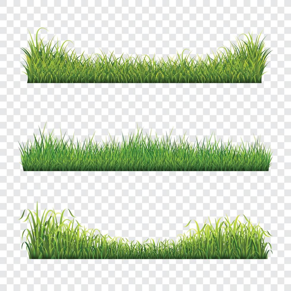 grüne grasgrenze gesetzt vektor