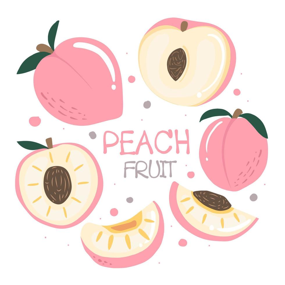 persika frukter och blad vektor