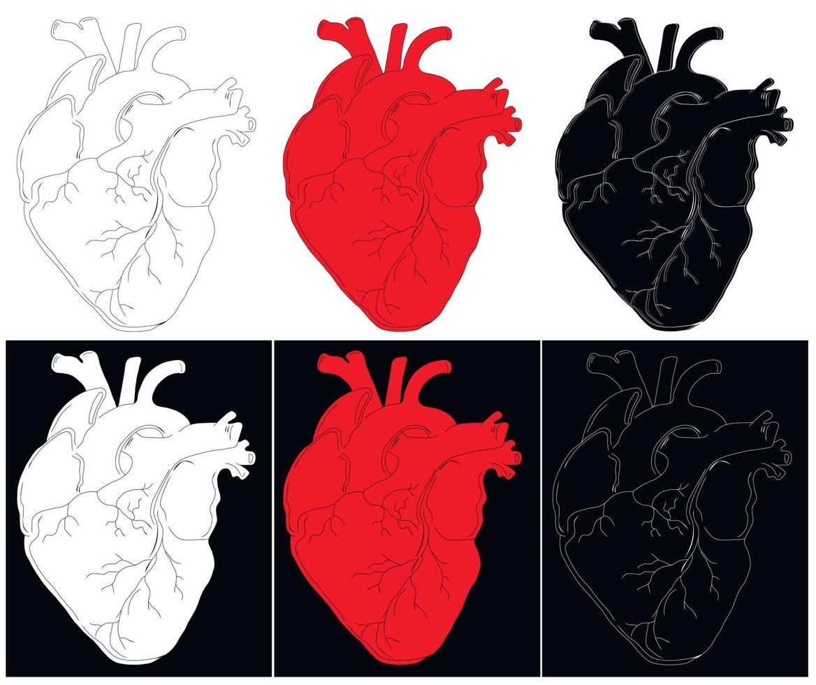 anatomische Zeichnung des Herzens. hintergrund für broschüren, broschüren, flyer, tattoo-studios. Set aus roten, weißen und schwarzen handgezeichneten Herzen. Vektor-Illustration. vektor