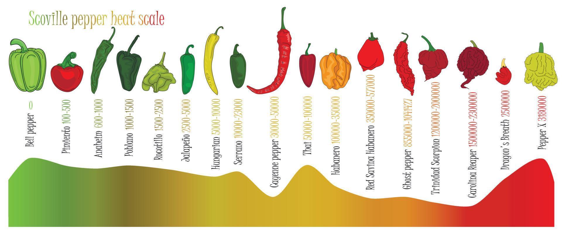 Scoville-Pfeffer-Wärmeskala. pfefferillustration von süß bis sehr scharf auf farbigem hintergrund. vektor