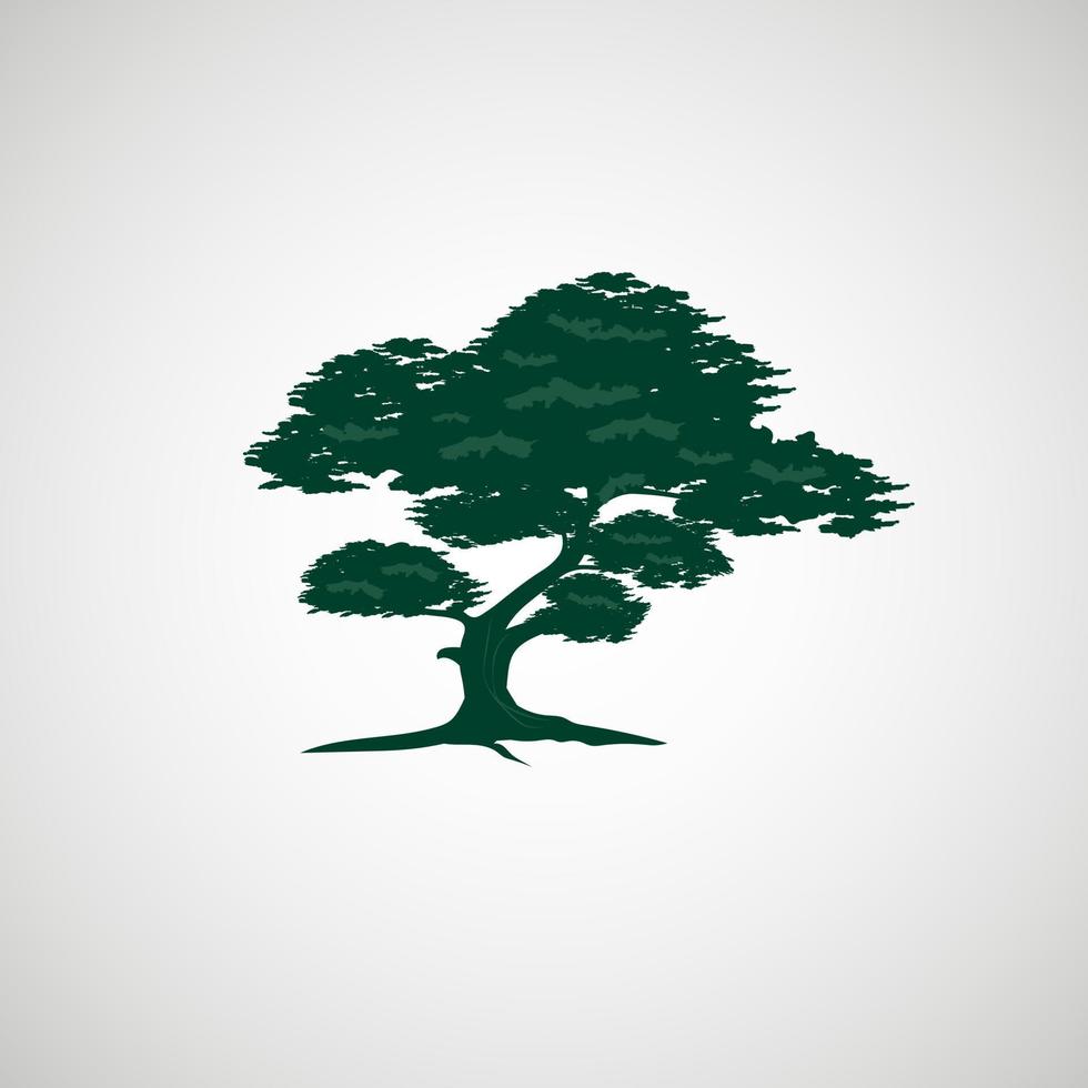 eine natürliche baumschattenbildskizze auf weißem hintergrund und waldsommerbaumkonzepte natur-ivector-design vektor