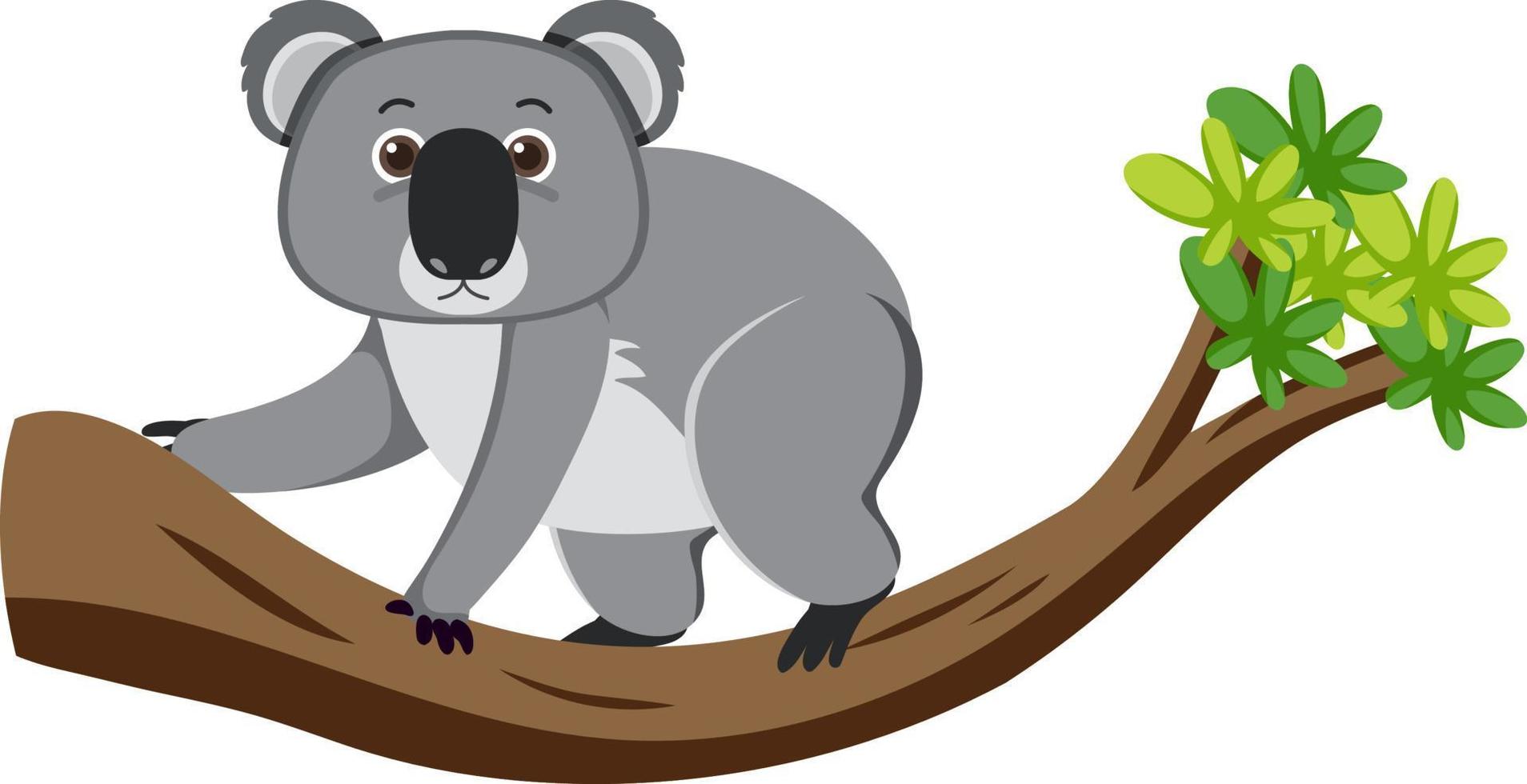koala på träd seriefigur vektor
