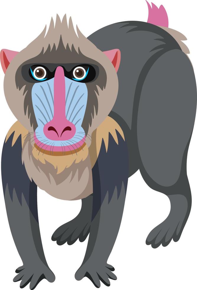 süßer mandrill im flachen cartoon-stil vektor