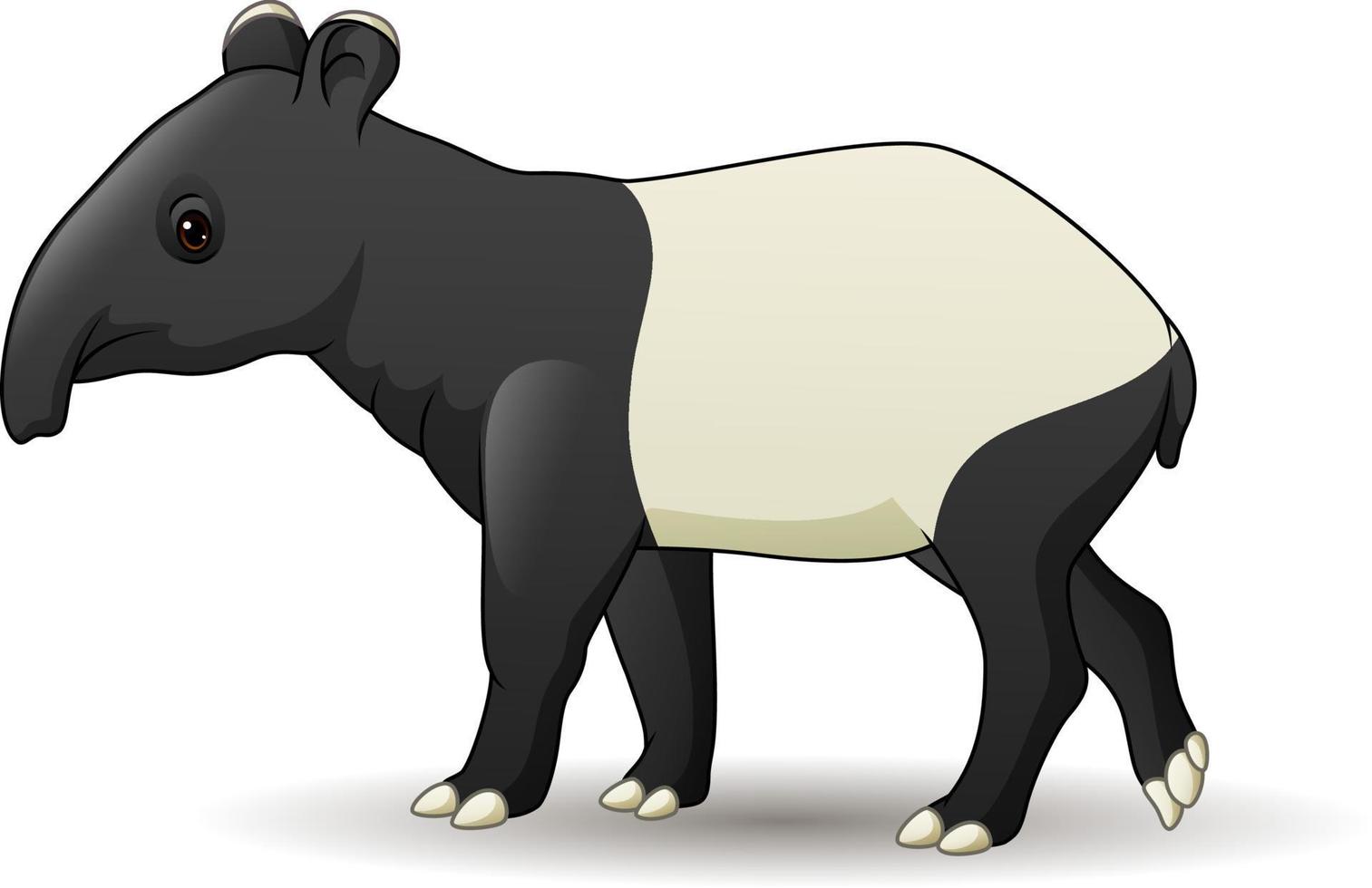 tecknad tapir isolerad på vit bakgrund vektor