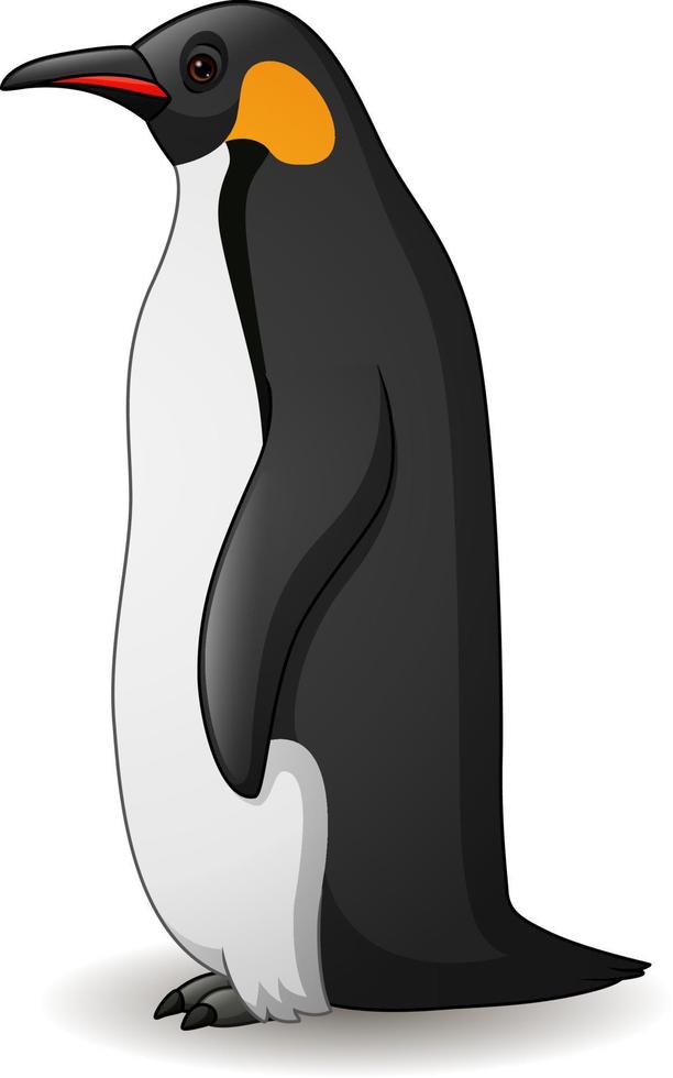 Cartoon-Pinguin isoliert auf weißem Hintergrund vektor